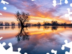 Jezioro, Prowincja Geldria, Wschód słońca, Gmina Lingewaard, Holandia, Drzewa, Odbicie