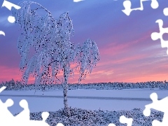 Drzewo, Zachód słońca, Śnieg, Oszronione, Zima