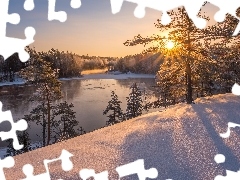 Las, Zima, Promienie słońca, Finlandia, Drzewa, Rzeka Kymijoki