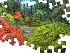 Ogród botaniczny, Bloedel Reserve Bainbridge, Staw, Jesień, Krzewy, Waszyngton, Stany Zjednoczone, Drzewa
