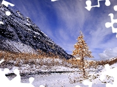 Drzewa, Chmury, OĹnieĹźone, GĂłry, Zima