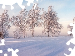 Zima, Domy, Drzewa, OĹnieĹźone