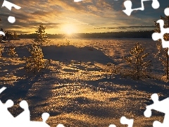 Zaśnieżone, Zima, Ringerike, Drzewa, Zachód słońca, Jezioro, Norwegia