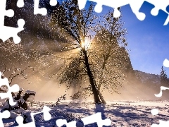Śnieg, Zima, Góry, Drzewo, Kalifornia, Stany Zjednoczone, Słońce, Park Narodowy Yosemite, Przebijające światło