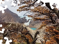Lodowiec, GĂłry, Patagonia, Argentyna, Perito Moreno, Drzewa