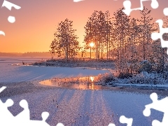 Drzewa, WschĂłd sĹoĹca, Karelia, Rosja, Rzeka SiegieĹźa, Zima