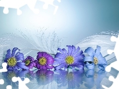 Kwiaty, PiĂłrka, ZbliĹźenie, Niebieskie