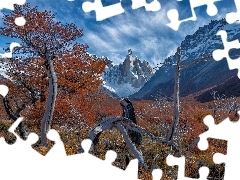 El Chalten, GĂłry, Konary, Mount Fitz Roy, Drzewa, Patagonia, Argentyna, JesieĹ