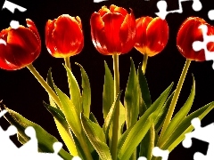 Czerwonych, Tulipanów, Pięć