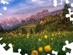 Drzewa, Dolomity, ĹťĂłĹte, Dolina, GĂłry, ĹÄka, Kwiaty