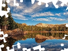 Jezioro, Drzewa, Kolorado, Kamienie, Las, Brainard Lake, Sta