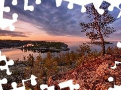 Jezioro, Ĺadoga, RoĹlinnoĹÄ, JesieĹ, SkaĹy, Karelia, Rosja, Drzewa