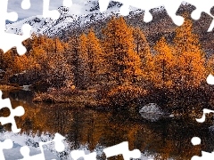 Jezioro, JesieĹ, Drzewa, Modrzewie, ĹťĂłĹte, GĂłry
