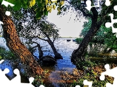 Jezioro, ĹĂłdki, Szuwary, Drzewa