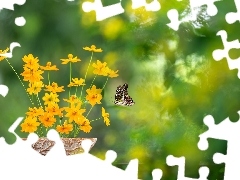 Kwiaty, Motyl, Doniczka, ĹťĂłĹte