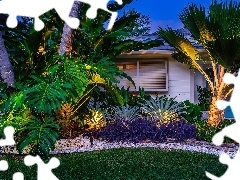Palm Beach Garden, Stany Zjednoczone, Palmy, Kwiaty, Dom, Floryda