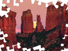 SkaĹy, Czerwone, Krzewy, Cathedral Rocks, KsiÄĹźyc, WschĂłd sĹoĹca, Arizona, Stany Zjednoczone, Sedona