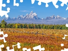 Park Narodowy Grand Teton, JesieĹ, GĂłry, Teton Range, Stan Wyoming, Stany Zjednoczone, Ogrodzenie, Drzewa, Pole