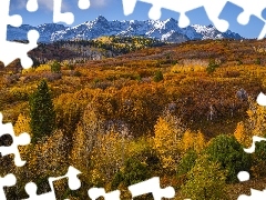 San Juan Mountains, GĂłry, PrzeĹÄcz, Dallas Divide, Kolorado, Stany Zjednoczone, Las, Drzewa, JesieĹ