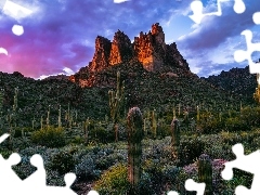 Drzewa, Arizona, Superstition Mountains, Chmury, SkaĹy, Stany Zjednoczone, GĂłry, ZachĂłd sĹoĹca, RoĹlinnoĹÄ, Kaktusy