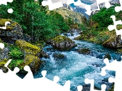 Potok, Park Narodowy Folgefonna, Omszałe, Góry, Kamienie, Norwegia, Las, Roślinność, Rzeka, Skały