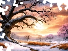 Wschód słońca, Góry, Chmury, Drzewa, Zima, Mgła, Paintography