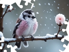 Zima, Gałązka, Śnieg, Ptak