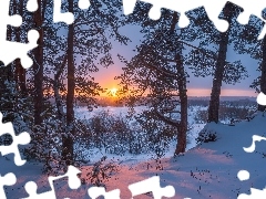 Drzewa, Zachód słońca, Śnieg, Słońce, Zima