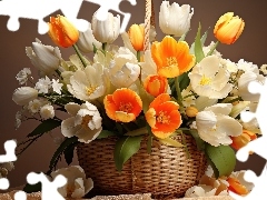 Tulipany, Koszyk, Białe, Pomarańczowe, Kwiaty