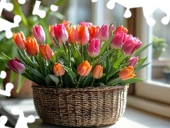 Tulipany, Kwiaty, Bukiet Kwiatów, Kolorowe, Bukiet, Koszyk Kwiat, Tulipan