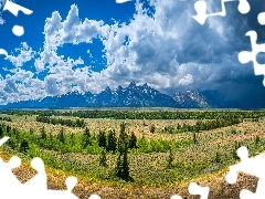 Park Narodowy Grand Teton, Równina, Niebo, Drzewa, Chmury, Wyoming, Stany Zjednoczone, Góry
