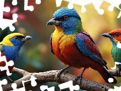 Ptaki, Gałąź, Grafika, Kolorowe