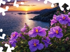 Morze, Kwiaty, Fioletowe, Zachód Słońca