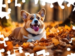 Jesień, Grafika, Pies, Liście, Welsh corgi pembroke