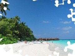 Plaża, Palmy, Malediwy, Niebo, Fihalhohi