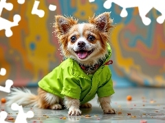 Kurtka, Grafika, Pies, Język, Chihuahua