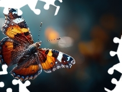 Zbliżenie, Kolorowy, Motyl