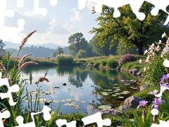 Fioletowe, Kwiaty, Góry, Kwitnące, Drzewa, Białe, Staw, Trawy