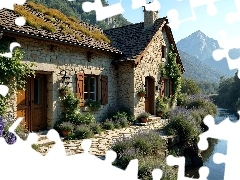 Rzeka, Dom, Kamienny