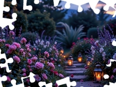 Róże, Kwiaty, Ozdobne, Różowe, Ogród, Rośliny, Lampiony