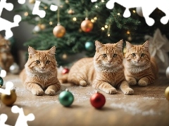 Trzy, Koty, Bombki, Rude