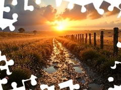 Droga, Łąka, Kałuże, Zachód słońca, Ogrodzenie, Pole