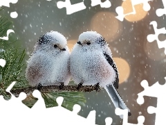 Ptaki, Raniuszki, Grafika AI, Ośnieżona, Zima, Białe, Dwa, Gałązka