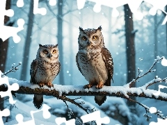 Sowy, Gałąź, Las, Dwie, Zima