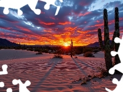 Pustynia, Zachód słońca, Grafika AI, Kaktusy