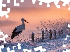 Zarośla, Bocian biały, Płot, Grafika AI, Zima, Trawy