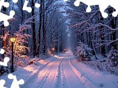 Ośnieżone, Drzewa, AI, Zaśnieżona, Latarnie, Las, Zima, Droga