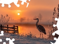 Trzciny, Jezioro, Zachód słońca, Szuwary, Czapla, Zima, Grafika AI