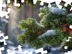 Śnieg, Gałąź, Zima, Grafika AI, Szyszki, Świerk