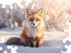 Zima, Grafika AI, Lis, Śnieg, Rudy